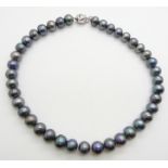 A single strand of Tahitian pearls with silver clasp, 42cm long