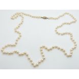 A single strand of cultured pearls with 9ct gold clasp set with pearls, 96cm long