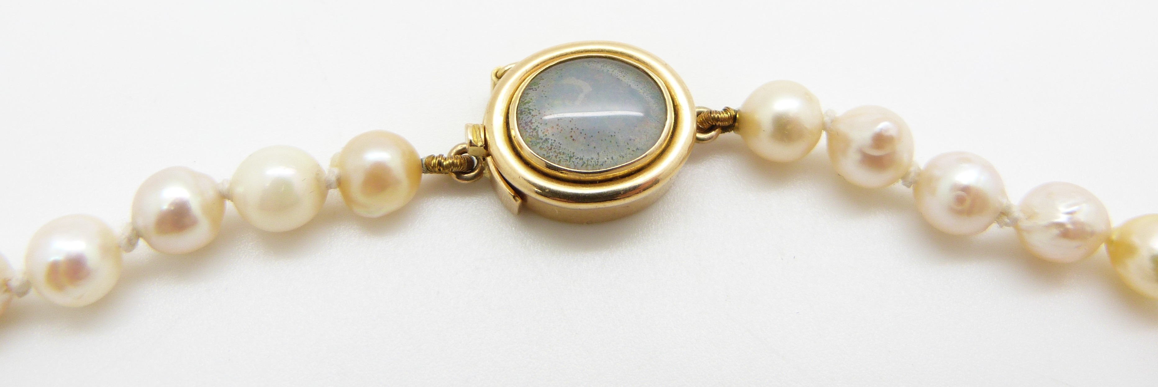 A single strand of cultured pearls with 18ct gold clasp set with an opal triplet, 48.5cm long - Image 3 of 3