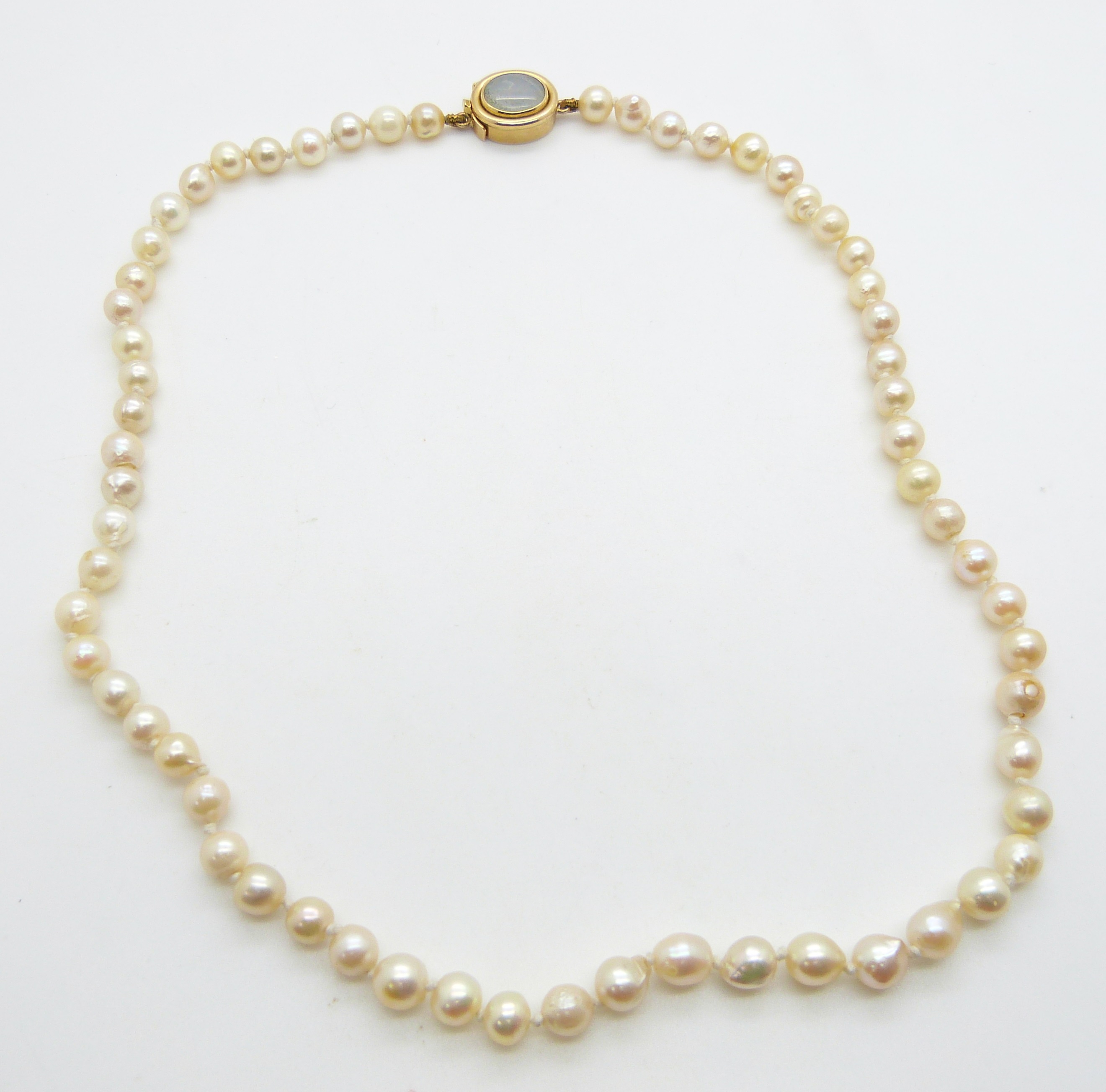 A single strand of cultured pearls with 18ct gold clasp set with an opal triplet, 48.5cm long