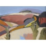 Carolyn White (1945-2013) oil on canvas 'Earth Reds' Slad Valley, with label verso, 28 x 38cm