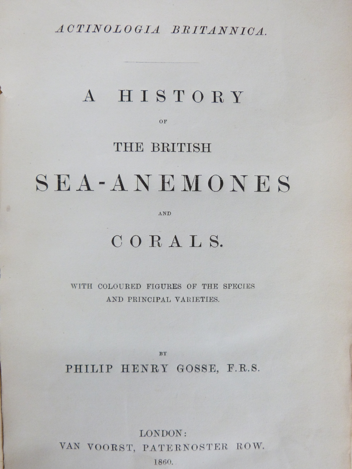 A History of The British Sea-Anemones and Corals (Actinologia Britannica) by Philip Henry Gosse with - Image 2 of 3