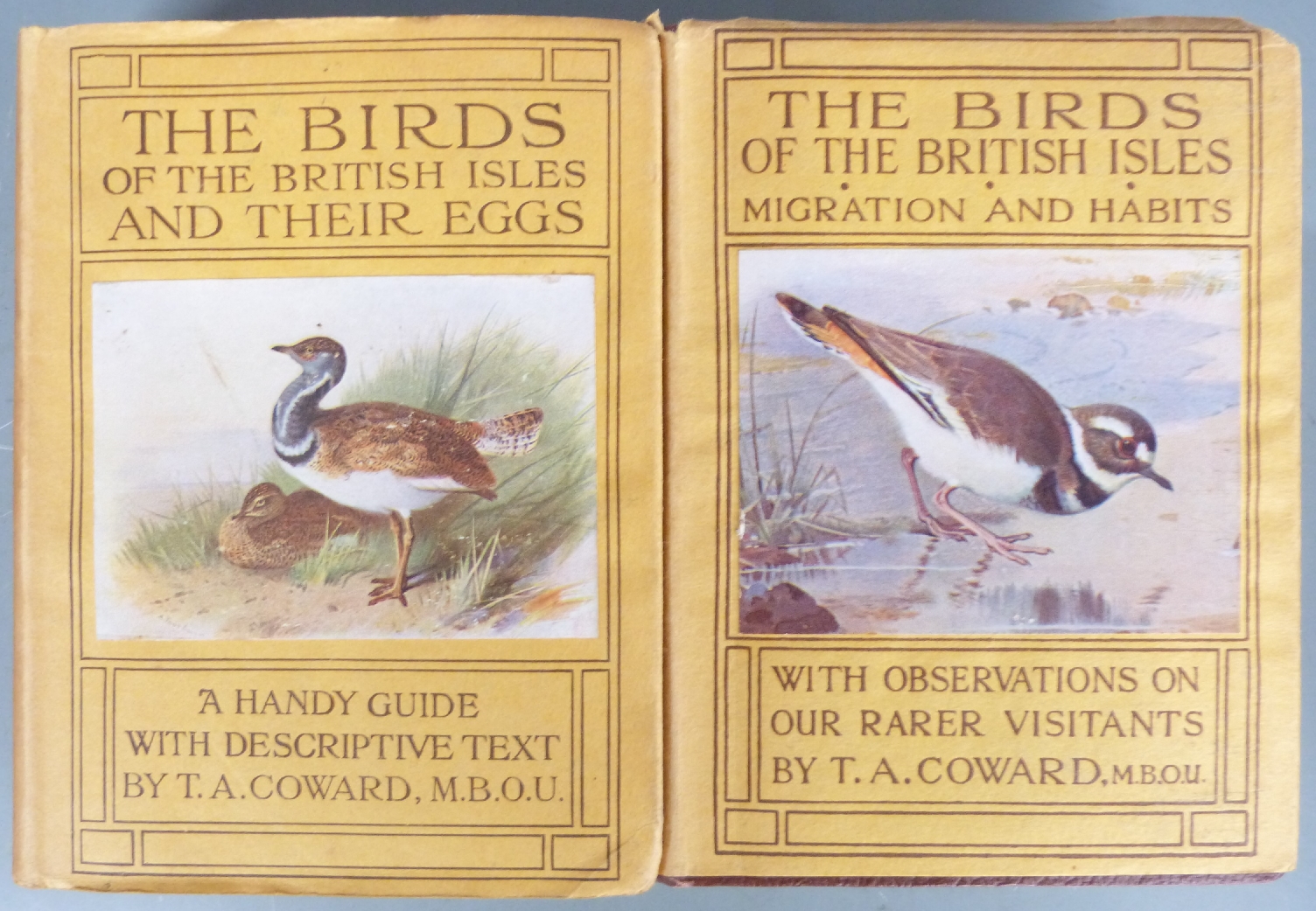 [Wayside & Woodland series] The Birds of The British Isles & Their Eggs, Migration & Habits 3 - Image 2 of 3