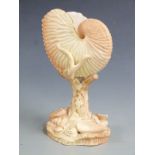 Royal Worcester blush ivory pedestal nautilus shell vase, H17cm