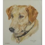 Halcyon Weir watercolour portrait of dog 'Corrie', signed and dated 1973 lower right, 40 x 33cm