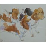 Andrew Quelch (b 1969) watercolour of four Beagle dogs, signed lower right, 30 x 34cm