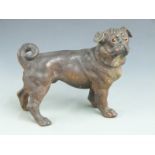 Pottery pug dog with glass eyes, H 25 , L 32cm