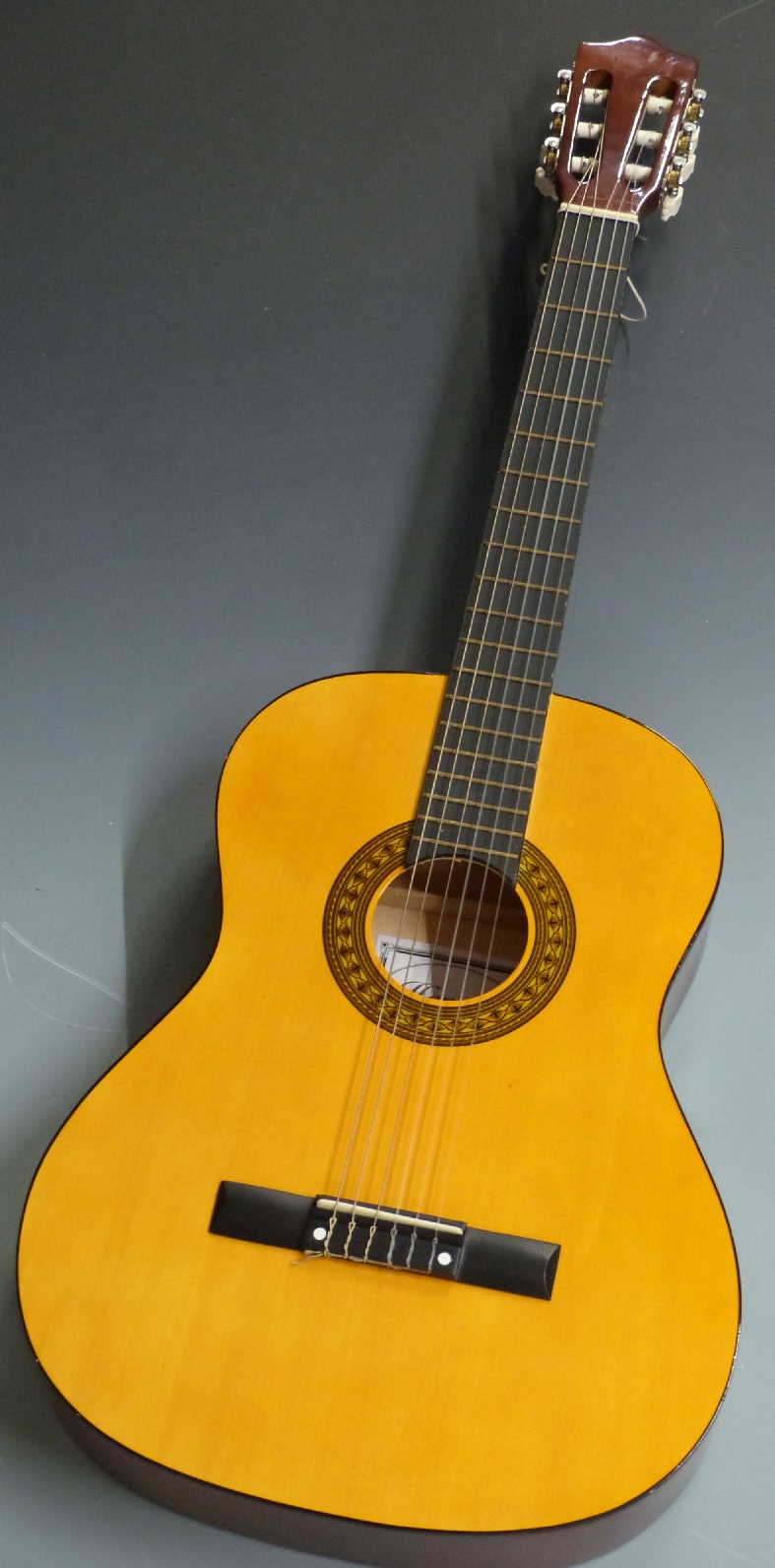 Herald acoustic guitar fitted with nylon strings, in soft carry case