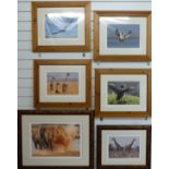 Six James Boardman signed limited edition photographs of African and other animals, largest 2/25