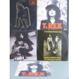 T.Rex - Electric Warrior (HIFLY6) record appears Ex with wear to stickered sleeve. The Slider (