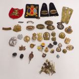 Collection of metal and cloth military and civilian badges including Down Hill Ski Instructor's
