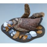 Michael Wood (Mike) woodcarving of a woodcock in a naturalistic setting, H16 x L33cm
