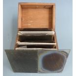Wooden case of 12 photographic glass slides of microscope subjects, some dated 1914, each