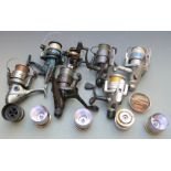A collection of fixed spool coarse and sea fishing reels and spare spools including Sigma, Silver