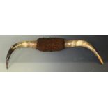A pair of taxidermy American buffalo horns, width 80cm