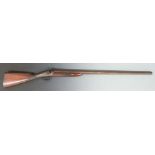 Sharman West Berry of Woodbridge 8 bore percussion hammer action muzzle loading live pigeon gun with