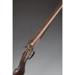 Fred Williams of Birmingham 12 bore side by side hammer action shotgun with engraved decoration to