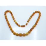 Baltic amber necklace made up of 45 graduated oval beads, 72g