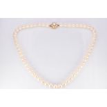 A single strand of cultured pearls with a 9ct gold clasp and a quantity of loose natural pearls