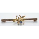 Edwardian brooch set with a sapphire and seed pearls in the form of a fly, length 3.5cm, 3.6g