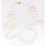 A single strand of cultured pearls, the 14k gold clasp set with a cluster of pearls