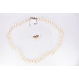 A strand of cultured pearls with a 9ct gold clasp and a pair of 9ct gold earrings set with a pearl