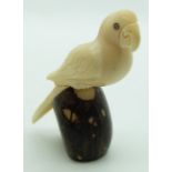 Model of a parrot carved from a nut, height 7cm