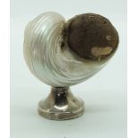 Shell pin cushion with hallmarked silver base, London 1908, maker's mark rubbed, height 6cm