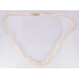 A single strand of cultured pearls with 9ct gold clasp