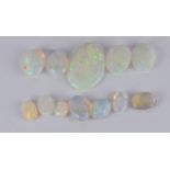 Eleven loose oval opal cabochons