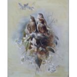 M Campbell (British School) oil on canvas fledglings in a nest looking at butterflies, signed and