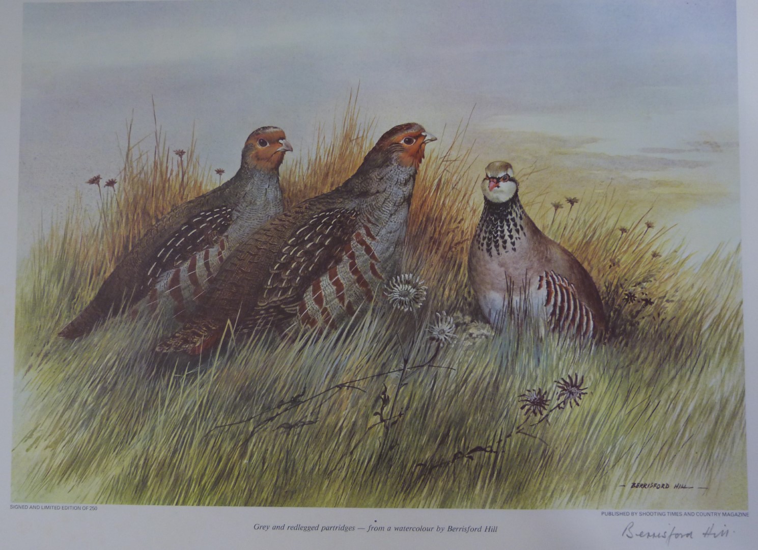 Approximately 40 signed limited edition sporting prints by Beresford Hill (4) and Campbell-Black ( - Image 2 of 4