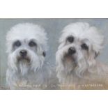 Fadelle gouache portrait of two Dandie Dinmont dogs, titled to lower edge Meadow Pipit & Ch Tawny