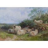 George Shalders (1826-1873) watercolour sheep amongst bracken, signed and dated 1865 lower left,