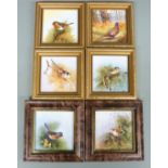 Six framed porcelain plaques with hand-decoration of British birds by ex Royal Worcester artist N