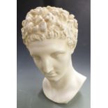 A large plaster bust in the classical style, height 48cm
