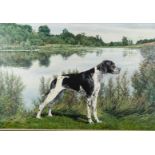 James Aldred acrylic on board 'Lady of the Lake' portrait of a dog with lake beyond, monogrammed and