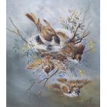 M Campbell (British School) oil on canvas fledglings leaving the nest watched by parents, signed and