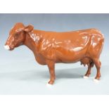 Beswick Red Poll cow from the Rare Breeds Series, H15cm