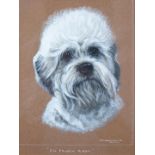 Bridget P Olerenshaw gouache portrait of a Dandie Dinmont dog, titled to lower edge CH Fruach