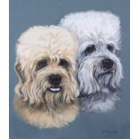 Bridget P Olerenshaw gouache portrait of two Dandie Dinmont dogs, signed and dated 64 lower right,