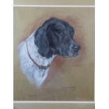 Marjorie Cox (1915-2003) pastel portrait of a dog 'Comfort', signed, titled and dated 1987, 46 x