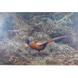 Berrisford Hill (20thC) oil on canvas cock and hen pheasant among bracken, signed lower right, 50