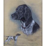 Marjorie Cox (1915-2003) pastel portrait of a Pointer dog 'Annabel', signed and dated 1968 lower