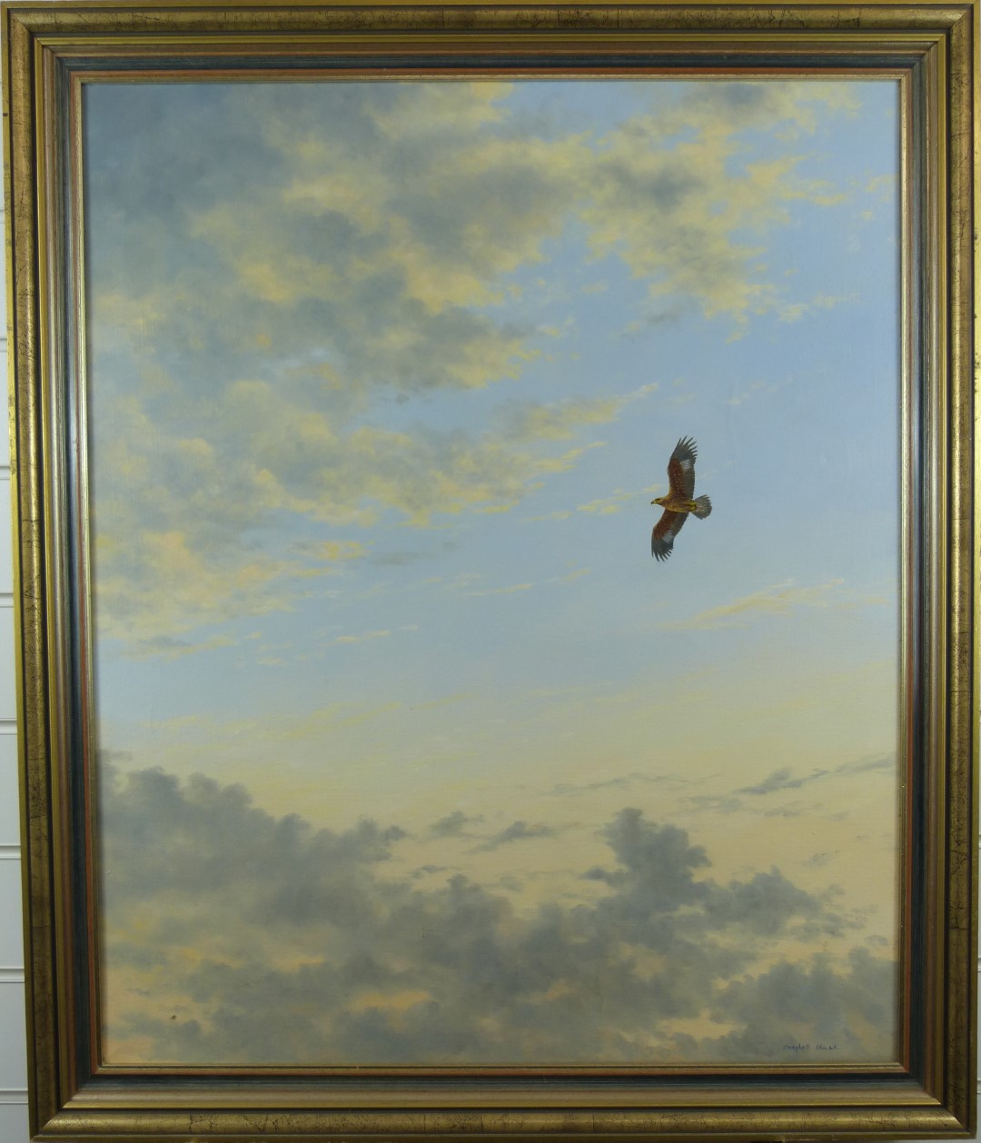 Geoffrey Campbell-Black (b1925) oil on canvas of Golden Eagle soaring in a cloudy sky, signed - Image 2 of 5