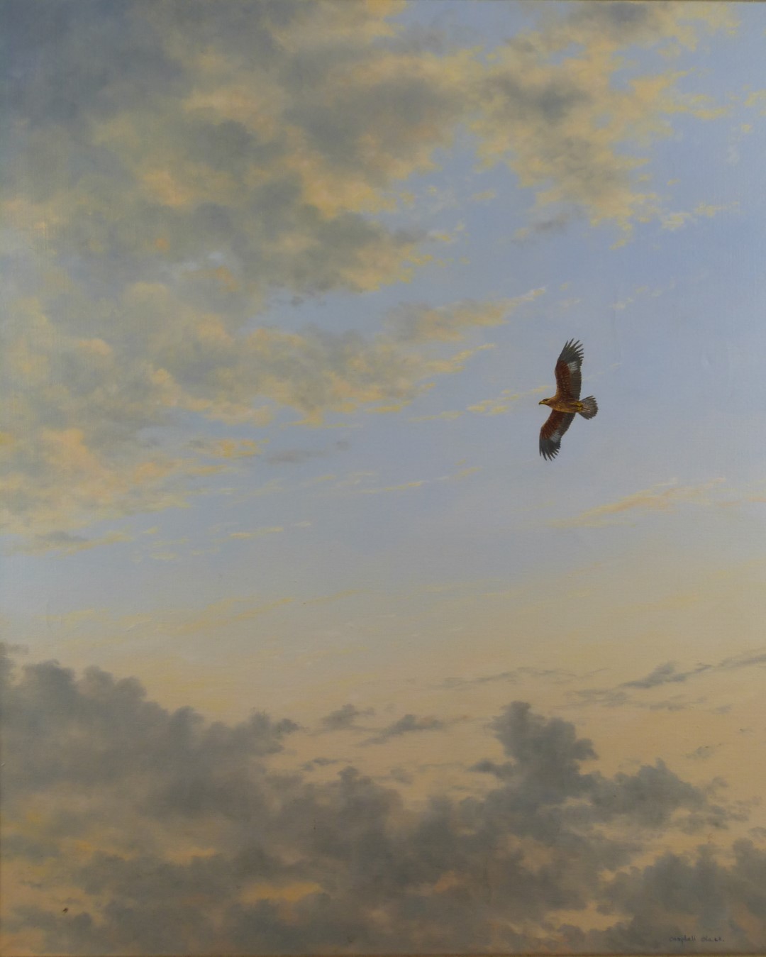 Geoffrey Campbell-Black (b1925) oil on canvas of Golden Eagle soaring in a cloudy sky, signed