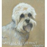 Fadelle gouache portrait of a Dandie Dinmont dog, titled to lower edge Watersend Catmint 'Minty',