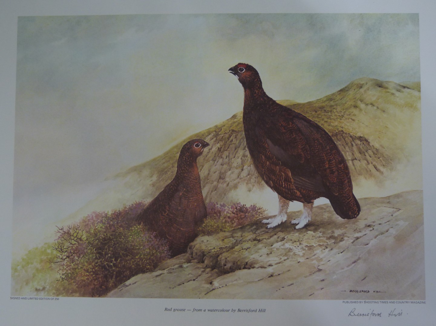 Approximately 40 signed limited edition sporting prints by Beresford Hill (4) and Campbell-Black ( - Image 3 of 4