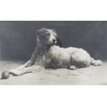 Herbert Thomas Dicksee (1862-1942) signed engraving 'Ready!', recumbent terrier, published by