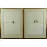 Raymond Harris Ching (b1939) two signed limited edition prints of House Sparrow fledglings, 46 x